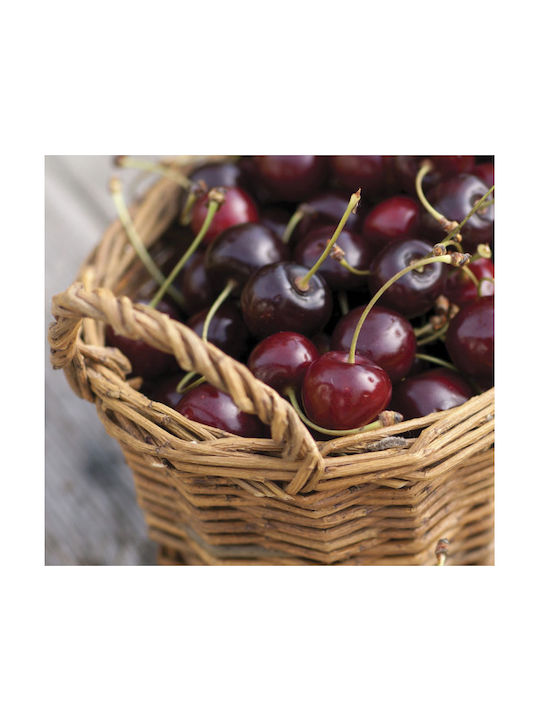 Heart & Home Ароматна Свещ От Соя В Буркан 220гр