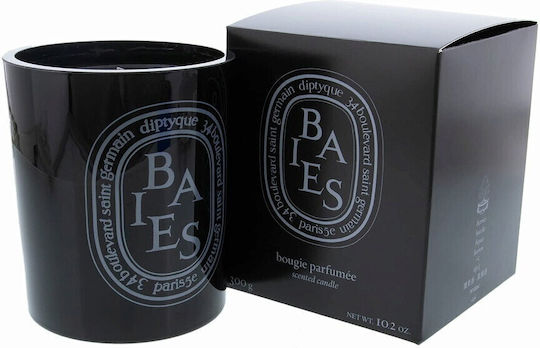 Diptyque Aromatic Candle in Jar with Black Baies Scent 300g