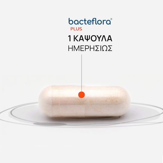 Olonea Bacteflora Plus Συμπλήρωμα με Προβιοτικά & Πρεβιοτικά 60 φυτικές κάψουλες