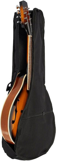 Soundsation BMA-60 VS Acoustic Mandolin