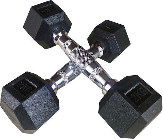Profit Hexagon Dumbbell 1 x 2kg