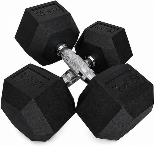 Profit Hexagon Dumbbell 1 x 12.5kg