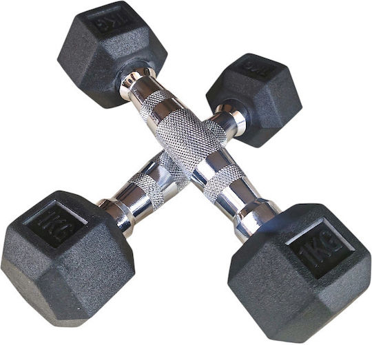 Profit Hexagon Dumbbell 1 x 1kg
