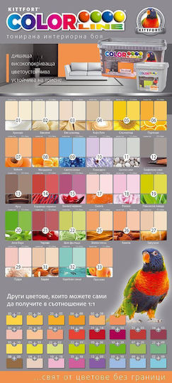 Color Line Цветен Латекс 29 Прах 4кг