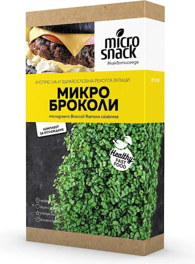 Mikro Garten Samen Brokkoli