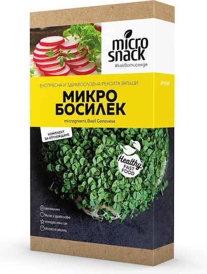 Semințe Busuioc Micro Garden