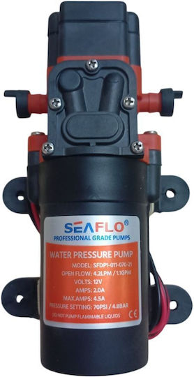 Seaflo Seaflo 12V Förderpumpe