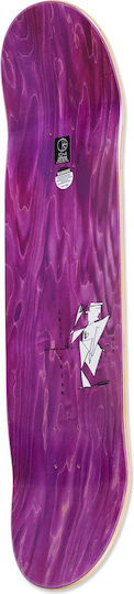 Polar Σανίδα Shortboard