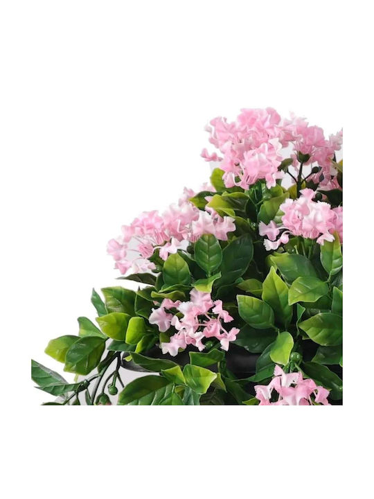 Dekorative Indische Flieder Pflanze