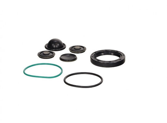 Set de Reparare a Pompei de Spălare Opel Vectra C 02 93174538