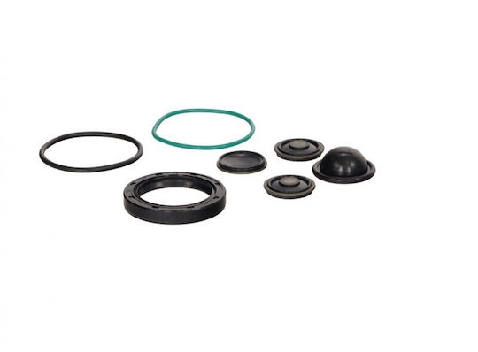 Set de Reparare a Pompei de Spălare Opel Vectra C 02 93174538