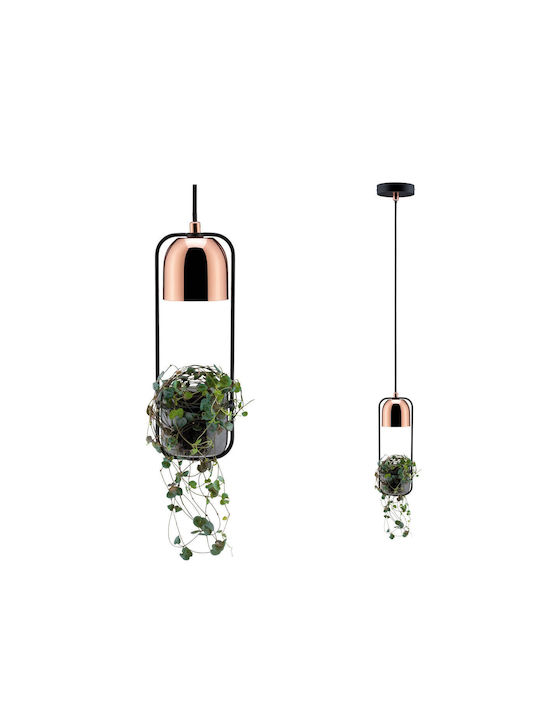 Paulmann 79749 Pendant Light Copper with Socket GU10