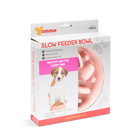 Alista Home Bol de Plastic pentru Hrănire Lentă pentru Câine 20cm în Culoare Coral