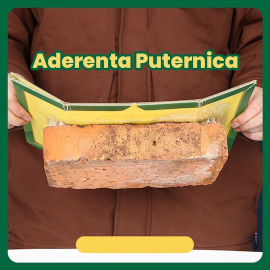 Alista Home Παγίδα Κόλλας 21x15cm 163291
