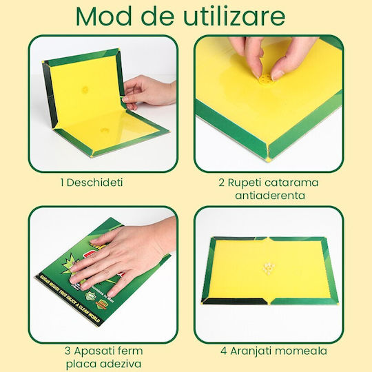 Alista Home Παγίδα Κόλλας 21x15cm 163291