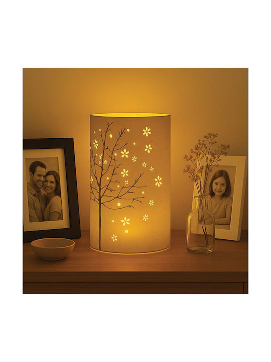 DictroLux Decorative LED Light Warm White 20x13x5cm