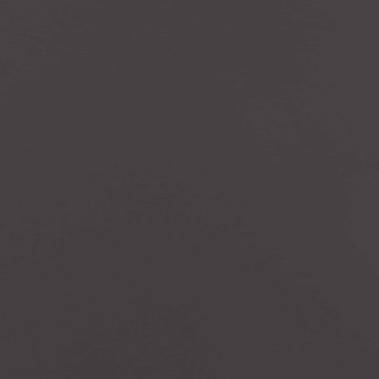 vidaXL Μαύρο 8007580 2τμχ