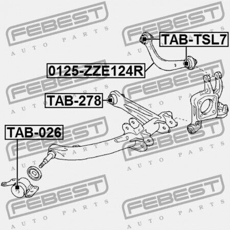 Febest Vorderes System für das Auto Kontrollarmbuchsenring Hinteres Unteres Toyota Celica ZZT23 1999.08-2005.07 Eu 48060-32040