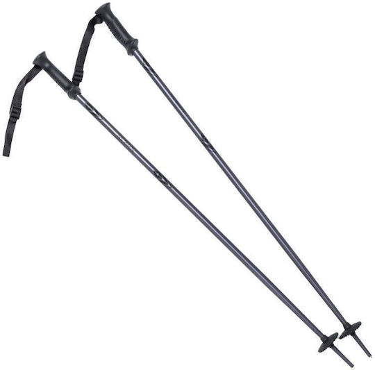 Alpine Ski Ii Ski-Stöcke