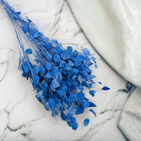 Monthly Dried Lunaria Blue