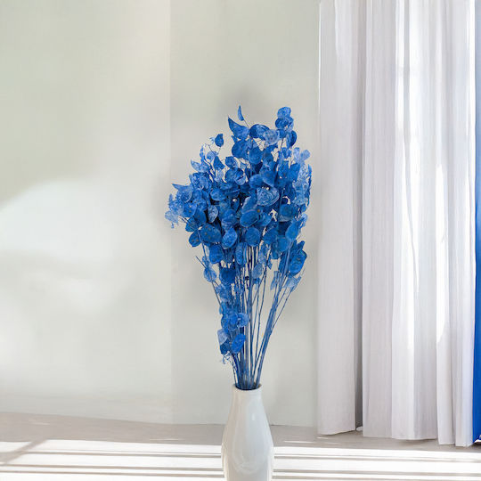 Monatliche Getrocknete Lunaria Blaue