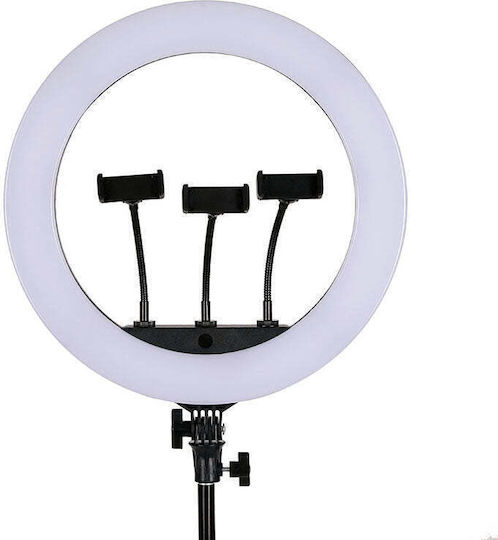 Ring Light 46cm
