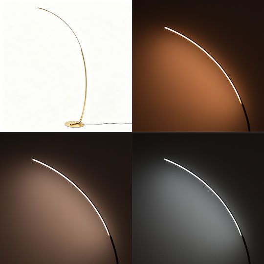 Pakketo Archer LED Floor Lamp H165cm Gold
