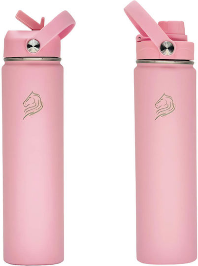 Cool'NMore Μπουκάλι Θερμός Ανοξείδωτο BPA Free 750ml Flamingo με Καλαμάκι, Λαβή, Θηλιά και Επιστόμιο