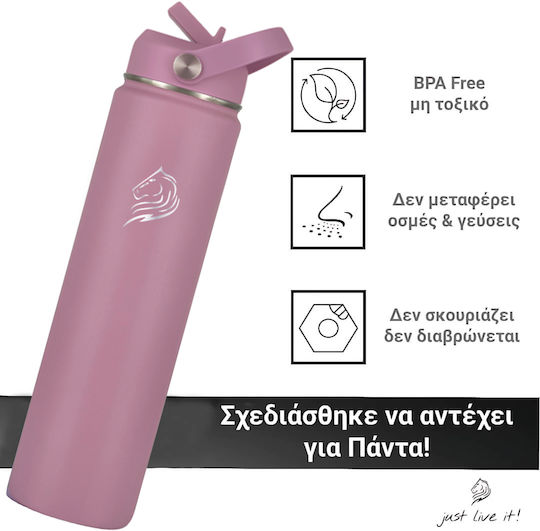 Cool'NMore Μπουκάλι Θερμός Ανοξείδωτο BPA Free 750ml Velvet με Καλαμάκι, Λαβή, Επιστόμιο και Θηλιά