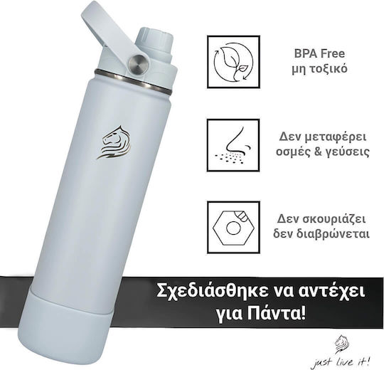 Cool'NMore Thermos Stainless Steel BPA Free 750ml Surf with Straw, Handle, Mouthpiece and Loop