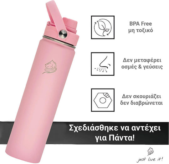 Cool'NMore Μπουκάλι Θερμός Ανοξείδωτο BPA Free 750ml Flamingo με Καλαμάκι, Λαβή, Θηλιά και Επιστόμιο