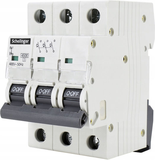 Overhead Switch 3p B 6a Schelinger