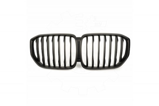 SKV Decorative Car Mask BMW X5 (G05)