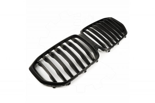 SKV Decorative Car Mask BMW X5 (G05)