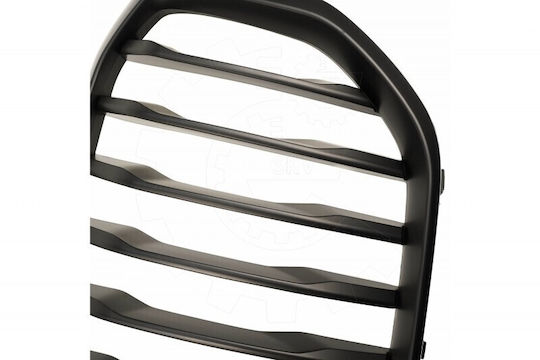 SKV Decorative Car Mask BMW X5 (G05)