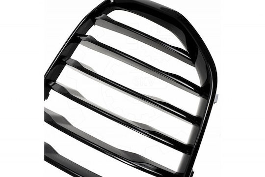 SKV BMW X5 (G05) Auto Dekorative Maske