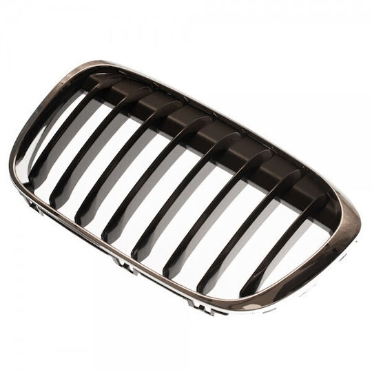 ABC Parts Διακοσμητική Μάσκα Αυτοκινήτου BMW X1 (F48)
