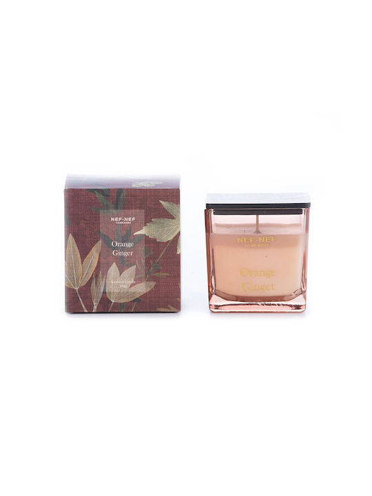 Aromatische Kerze Orange Ingwer 200g Bordeaux Nef-nef Homeware