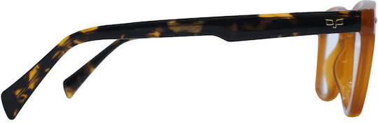 OJO Sunglasses Ghajn Tea Shell Ανδρικός Κοκκάλινος Σκελετός Πορτοκαλί 28OSI30283