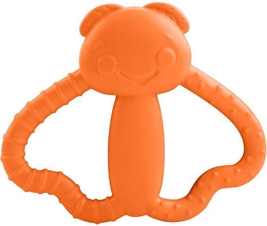 Fisher Price Μασητικό Οδοντοφυΐας για 3 m+