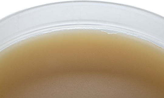 Rosfix 83LH-FI2G Πάστα Συγκόλλησης 115ml