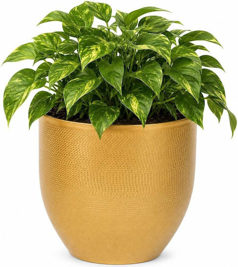 Vaze Pentru Plante Metalic Auriu 16x16x15.5cm