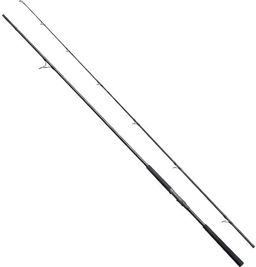 Slash Coast Thief Angelrute für Schweres Spinnfischen / Shore Jigging 2,81m 20-60g