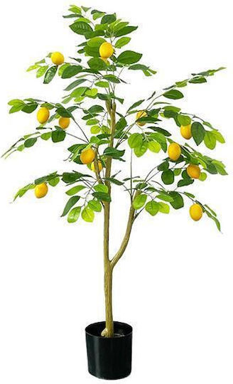 Outdoor Lemon Tree 120cm