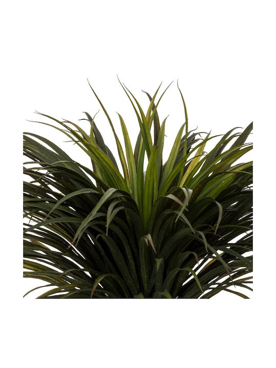 Тропическо Yucca Дърво На Открито 150см Atmosphera
