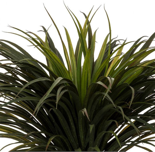 Yucca Tropicală Copac În Aer Liber 150cm Atmosphera