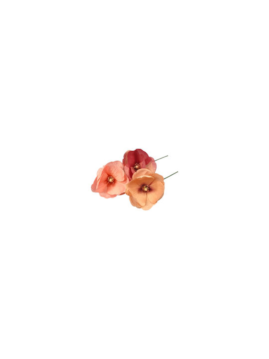 Μανόλια Σομόν 10cm Arpimex Srl