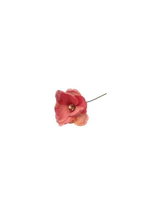 Μανόλια Σομόν 10cm Arpimex Srl
