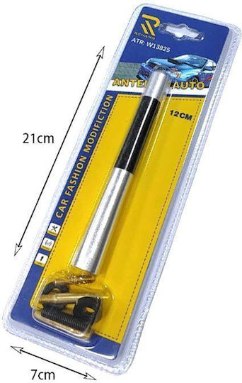 Rchang Autoantennen Universal 12cm W13825 Car Antenne Silber