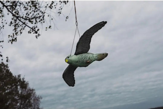Bradas Hawk Repellent Decoy Birds 0.35x0.08m